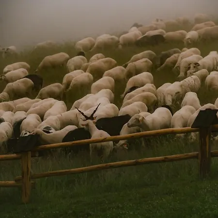 Osada Matygowka Villa