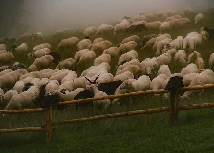 Osada Matygowka Vila